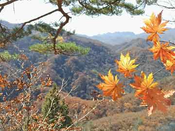 新澳門四肖期期準中特更新時間,數(shù)據(jù)驅(qū)動決策_云技術(shù)版10.710