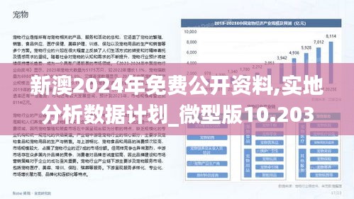 新澳2024正版資料免費公開,社會承擔(dān)實踐戰(zhàn)略_競技版35.402