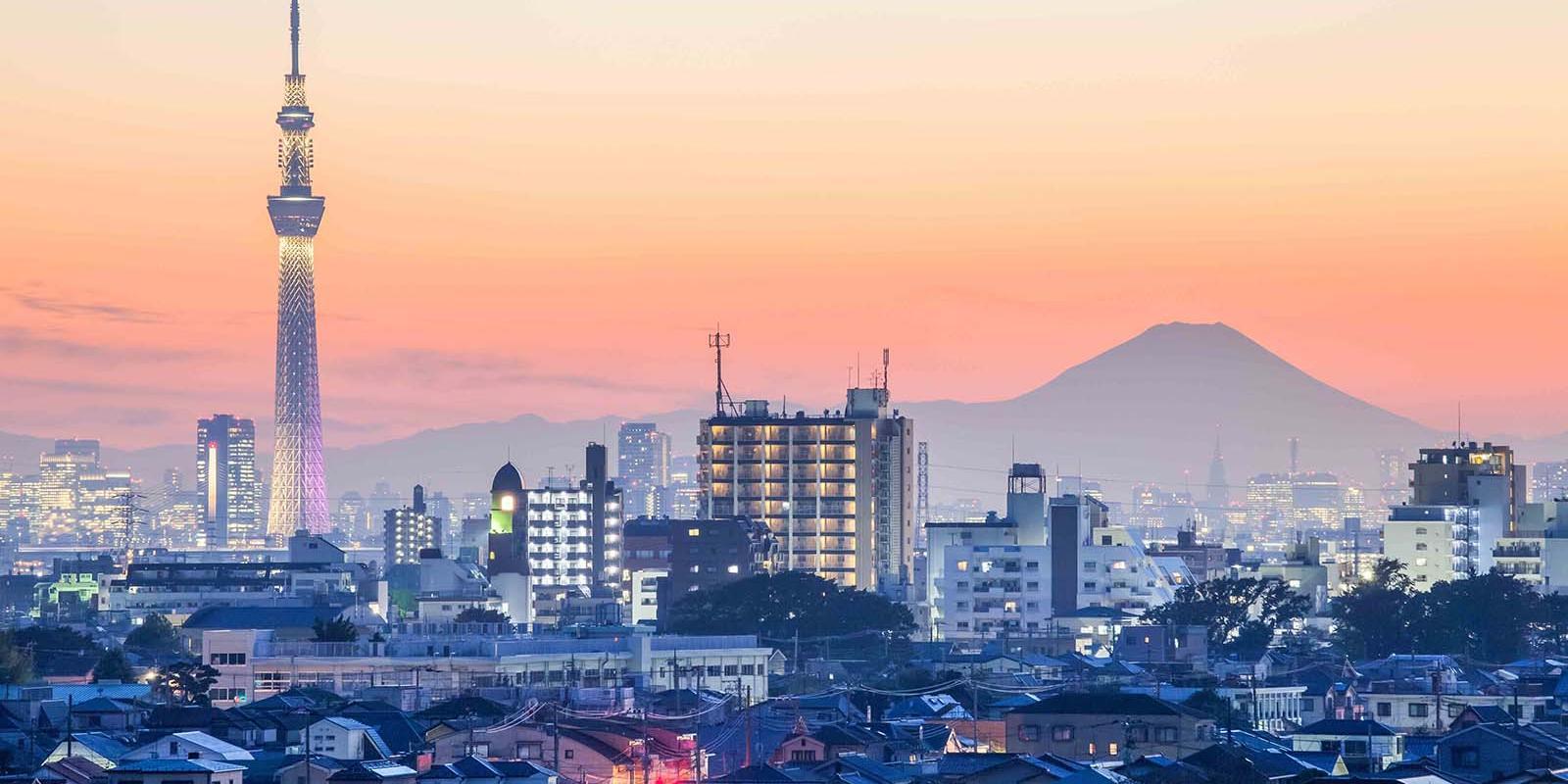 東京疫情最新人數(shù)，自然療愈與內(nèi)心平靜的尋找之旅