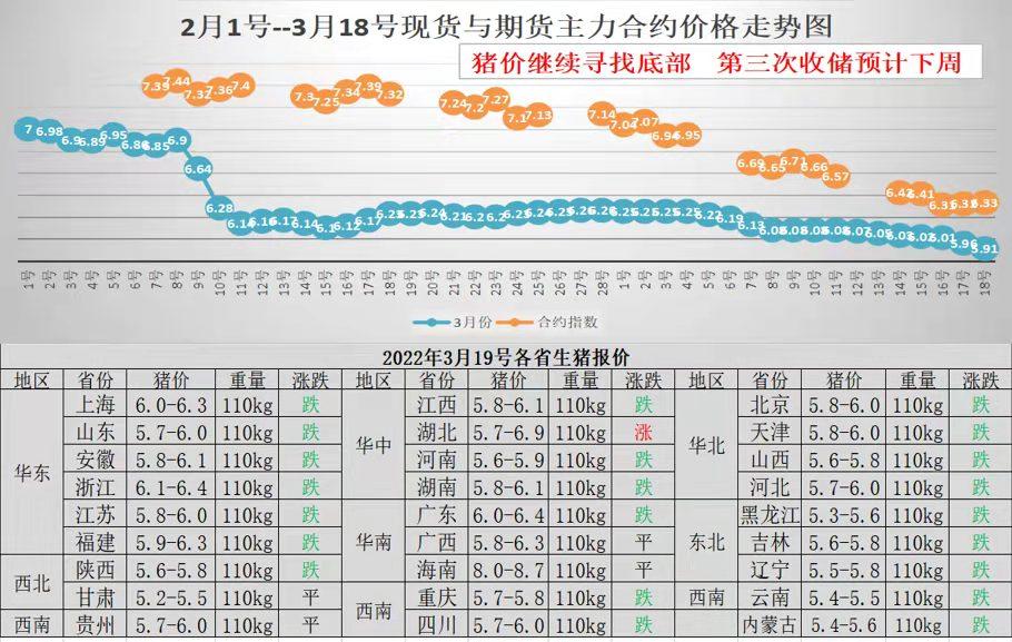 中國生豬最新報(bào)價(jià)格