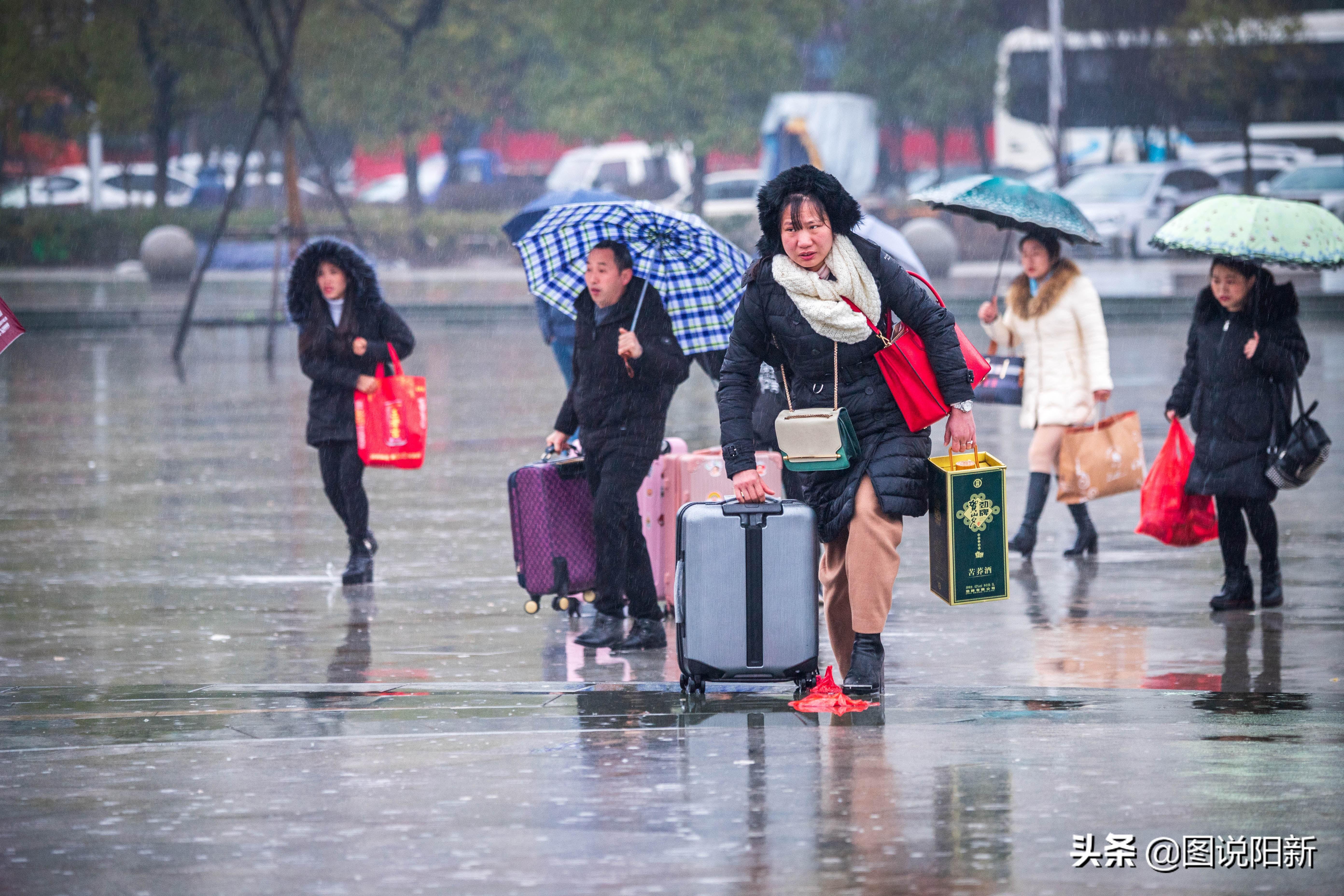 陽新縣楓林鎮(zhèn)最新資訊，高科技產(chǎn)品引領未來生活發(fā)展之路