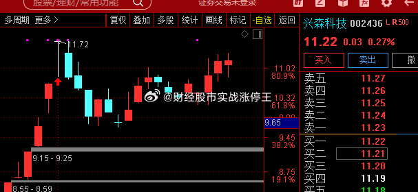 森興科技股票