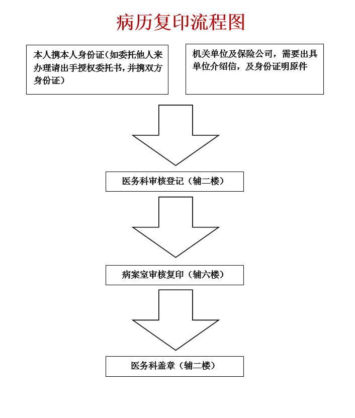 復(fù)印病歷最新，心靈與自然的美景之旅探索