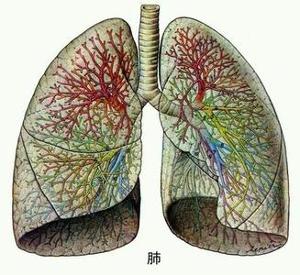 時(shí)代警鐘，最新肺感染的靜默威脅