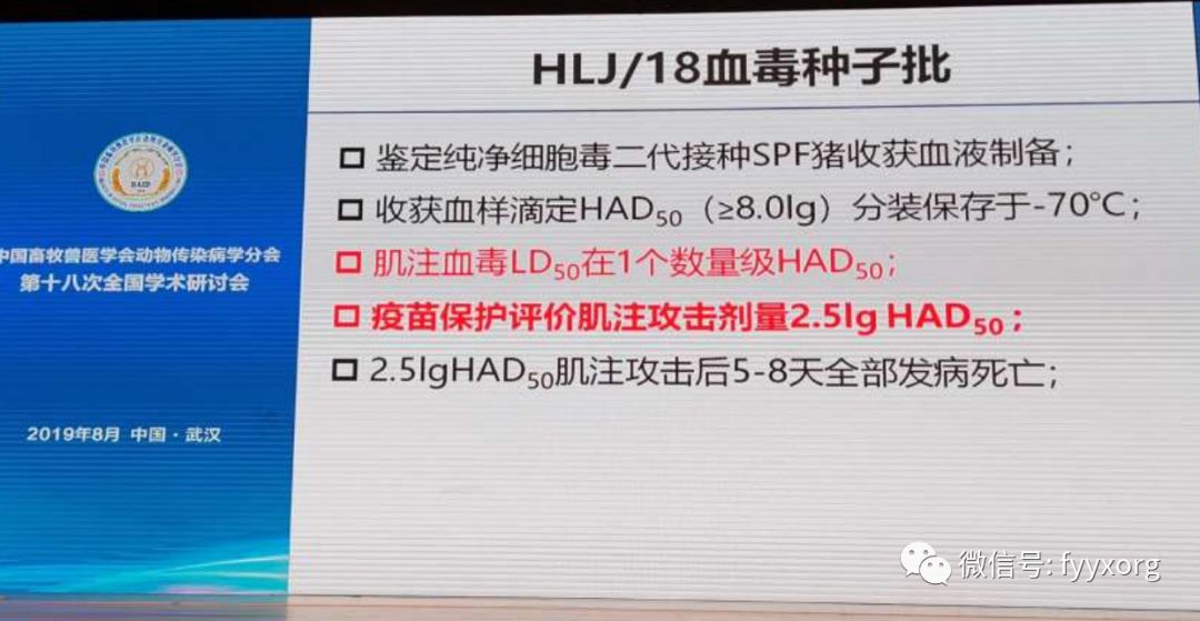 最新瘟疫進展更新，疫情動態(tài)與最新消息