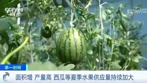 熱點事件深度剖析，最新吃瓜觀點熱議