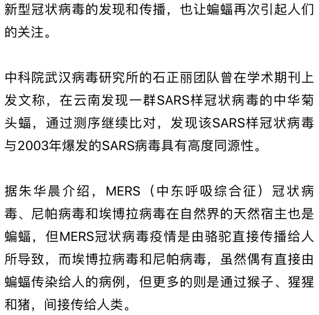 科技新品重塑防護體驗，引領健康生活新紀元，病毒最新通報與防護技術更新速遞