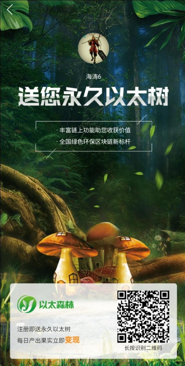 以太森林最新論述揭秘，現(xiàn)象與觀點探討