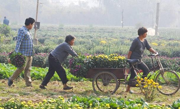 最新糧食之旅，與自然美景的愜意遨游