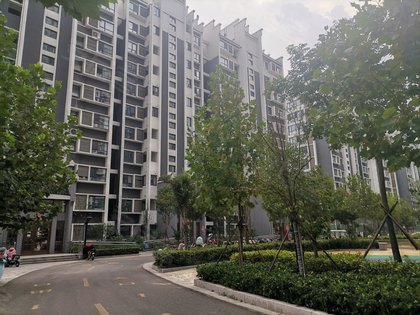 贛榆恒安華府最新動態(tài)，自然美景探索之旅，尋找內(nèi)心平和與寧靜