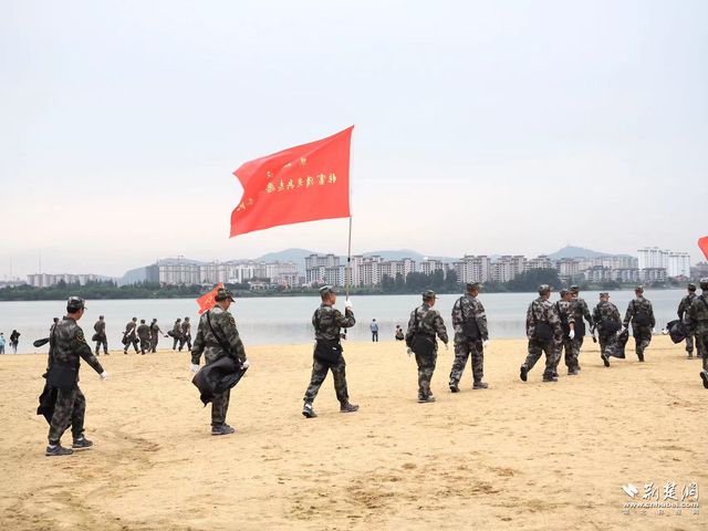 萬名老兵請愿最新動態(tài)揭秘，詳細步驟指南與動態(tài)更新