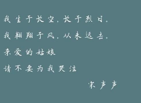 犯罪心理長洱txt最新，變化、學習與自信的力量