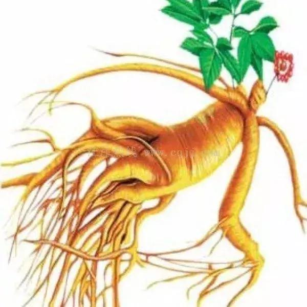 最新井陘礦區(qū)房源出售，家的溫馨與友情交織的居所